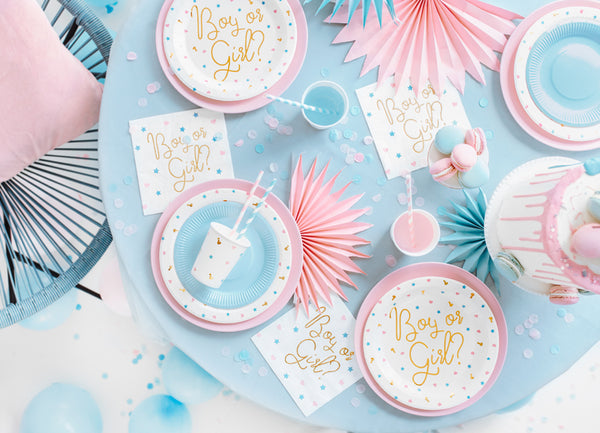 Gender Reveal Party Pappteller Ø23cm 6 Stück