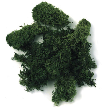 Islandmoos dunkelgrün 100g