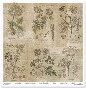 Scrapbooking Papier Set Herbarium 2 31x32cm 200g/m² 11 Bögen