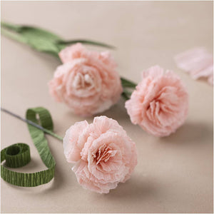 Floristen-Krepppapier 180%  25x60cm 105 g/m² 4 Blatt / Packung