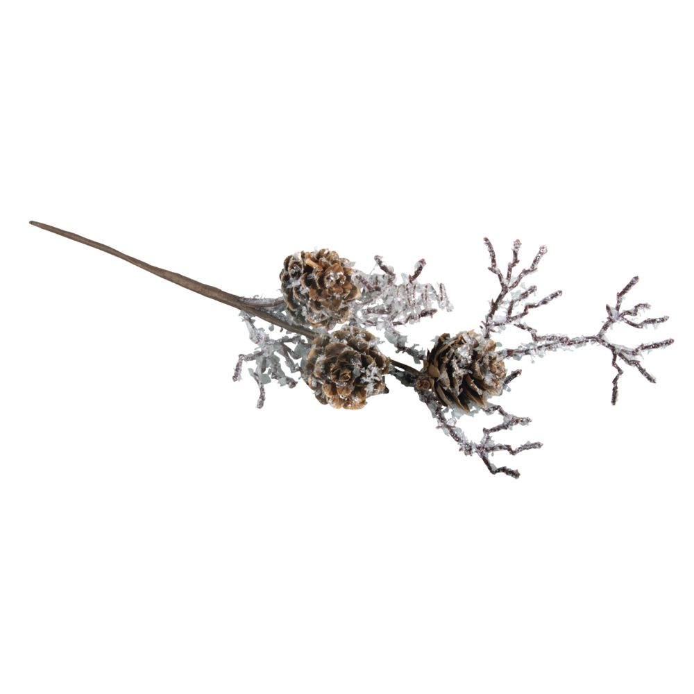 Lärchenzapfenast beschneit, 26cm