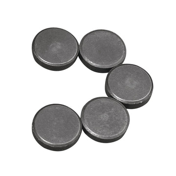 Magnete ø 20mm Stärke 5mm 5 Stück