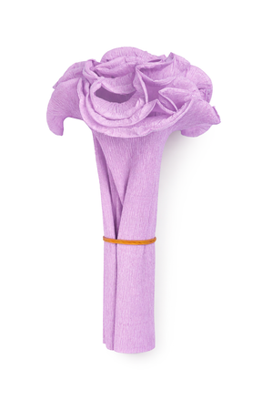 Krepppapier-Manschette für Palmbuschen 125x20cm 1 Stück