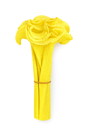 Krepppapier-Manschette für Palmbuschen 125x20cm 1 Stück