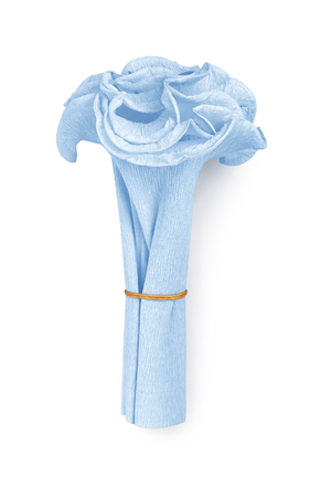 Krepppapier-Manschette für Palmbuschen 125x20cm 1 Stück