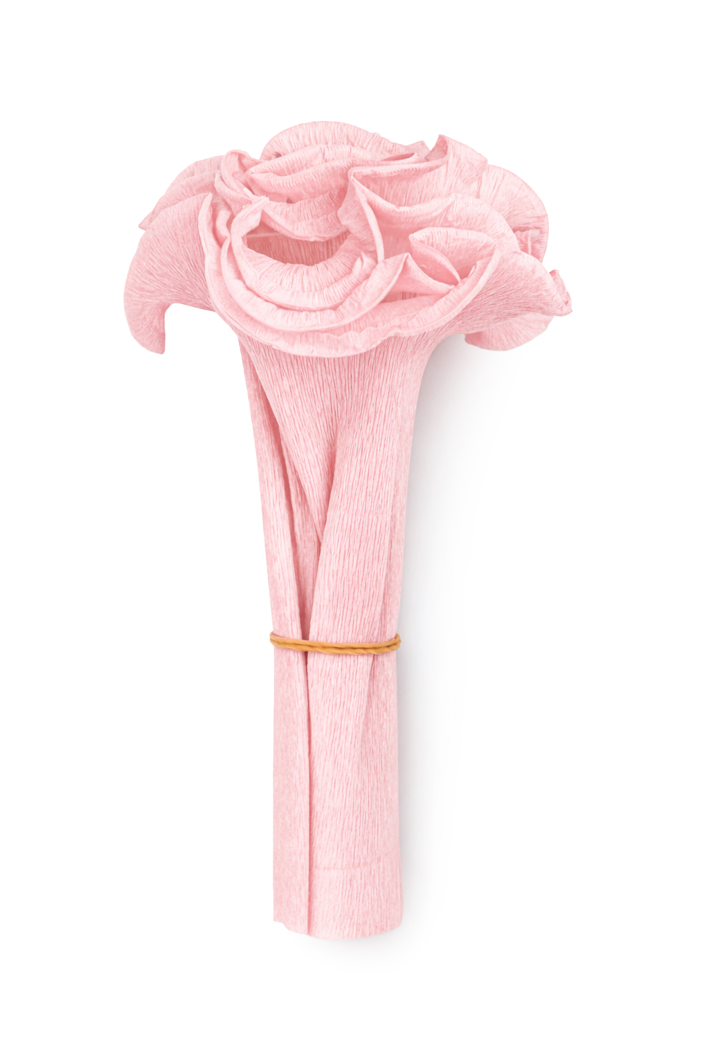 Krepppapier-Manschette für Palmbuschen 125x20cm 1 Stück