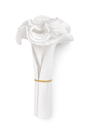 Krepppapier-Manschette für Palmbuschen 125x20cm 1 Stück