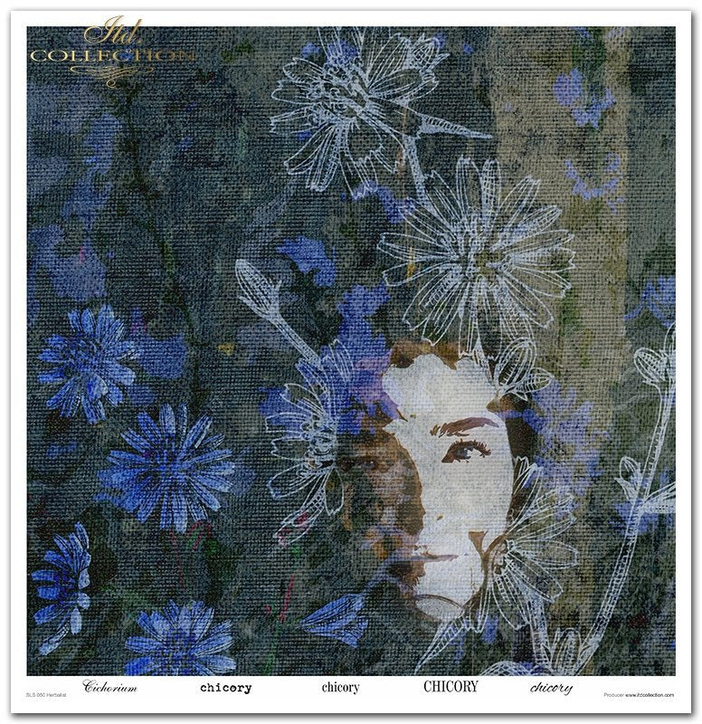 Scrapbooking-Papierset Herbalist 10 Bögen 31x32cm 200g/m²