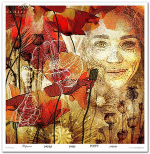 Scrapbooking-Papierset Herbalist 10 Bögen 31x32cm 200g/m²