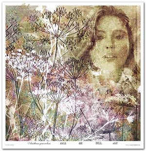 Scrapbooking-Papierset Herbalist 10 Bögen 31x32cm 200g/m²