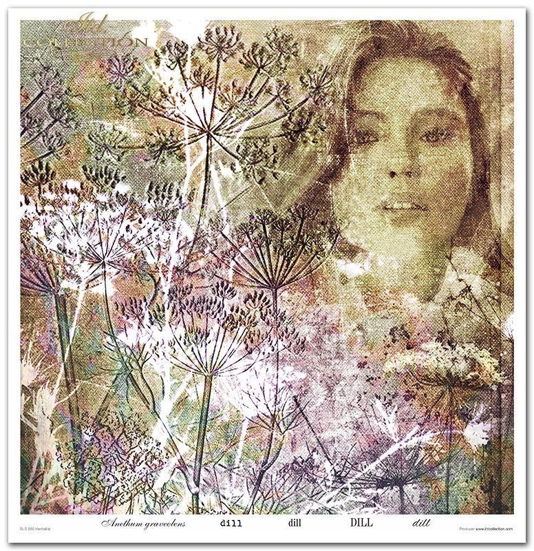 Scrapbooking-Papierset Herbalist 10 Bögen 31x32cm 200g/m²