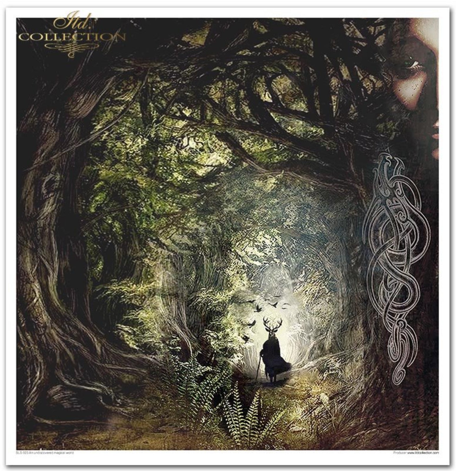 Papier-Set Eine unentdeckte magische Welt 10 Blatt 320x310mm 200g