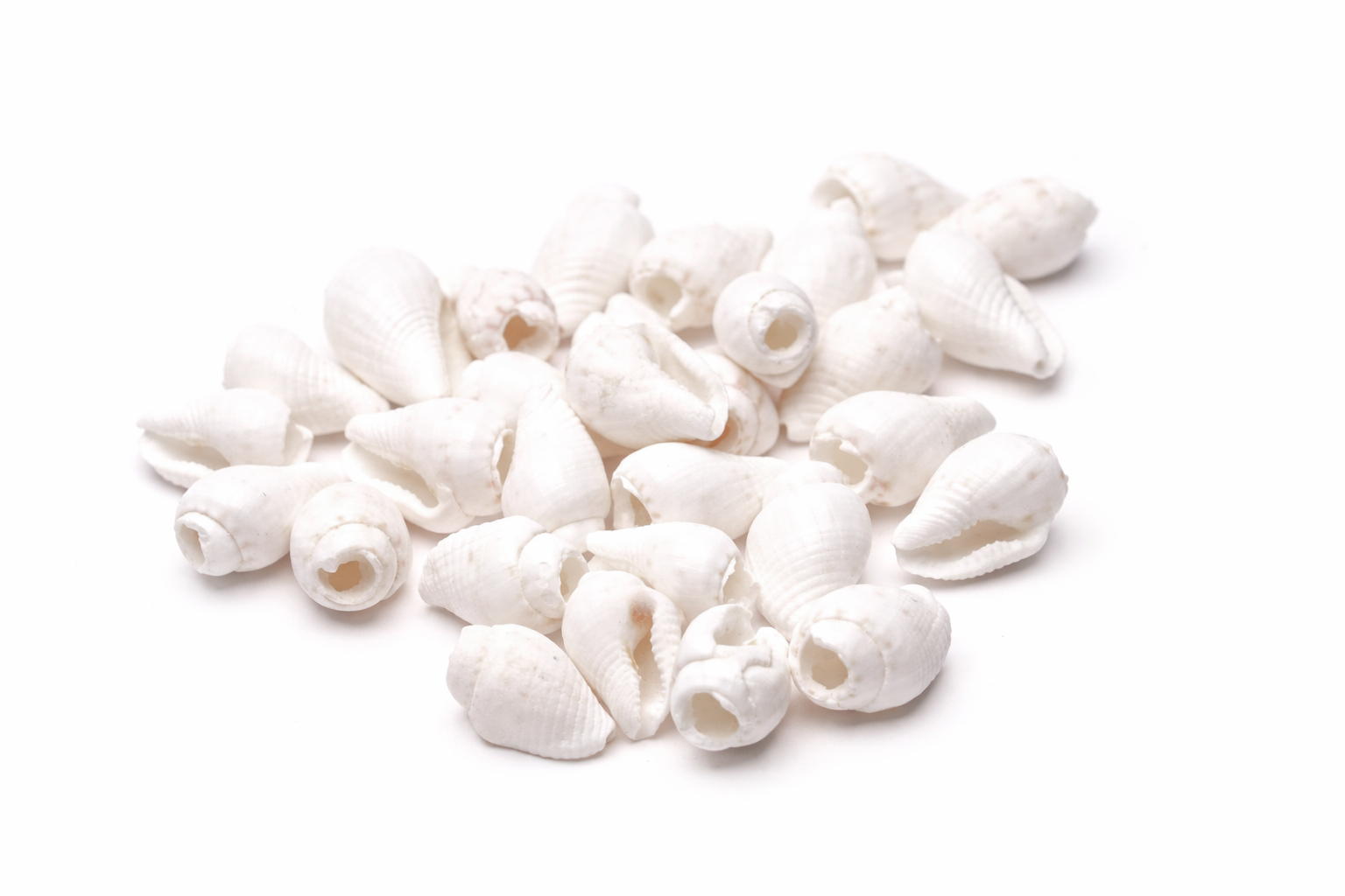 Muschelperle weiss 10mm 30 Stück