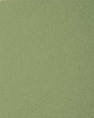 Trendyfilz Filzplatte 100 % Polyester 3mm 75x50cm