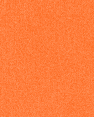 Trendyfilz Filzplatte 100 % Polyester 3mm 75x50cm