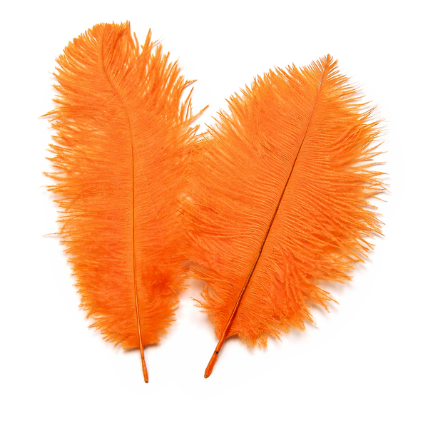 Straussen-Federn orange 20cm 2 Stück/Pkg.