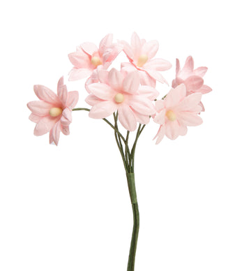 Schönauge Blüte aus Papier  ⌀ 23 mm Drahtstiel  6 Stück/ Bund