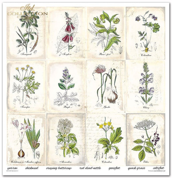 Scrapbooking Papier Set Herbarium 2 31x32cm 200g/m² 11 Bögen