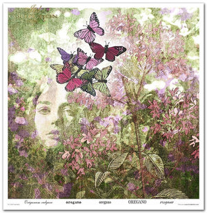 Scrapbooking-Papierset Herbalist 10 Bögen 31x32cm 200g/m²