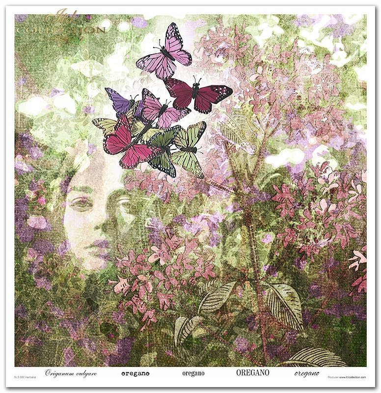 Scrapbooking-Papierset Herbalist 10 Bögen 31x32cm 200g/m²