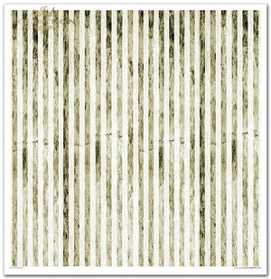 Scrapbooking-Papierset Erde Vier Elemente 10 Bögen 31x32cm 200g/m²