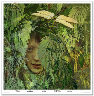 Scrapbooking-Papierset Herbalist 10 Bögen 31x32cm 200g/m²