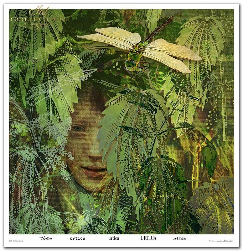 Scrapbooking-Papierset Herbalist 10 Bögen 31x32cm 200g/m²