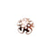 Perlkappe rosegold 10mm 10 Stück/Btl.