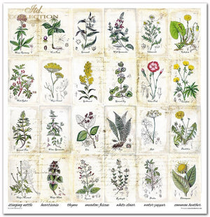 Scrapbooking Papier Set Herbarium 2 31x32cm 200g/m² 11 Bögen
