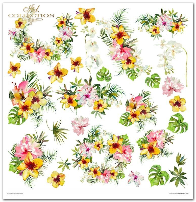 Scrapbooking-Papierset Tropical Dream 10 Bögen 31x32cm 200g/m²