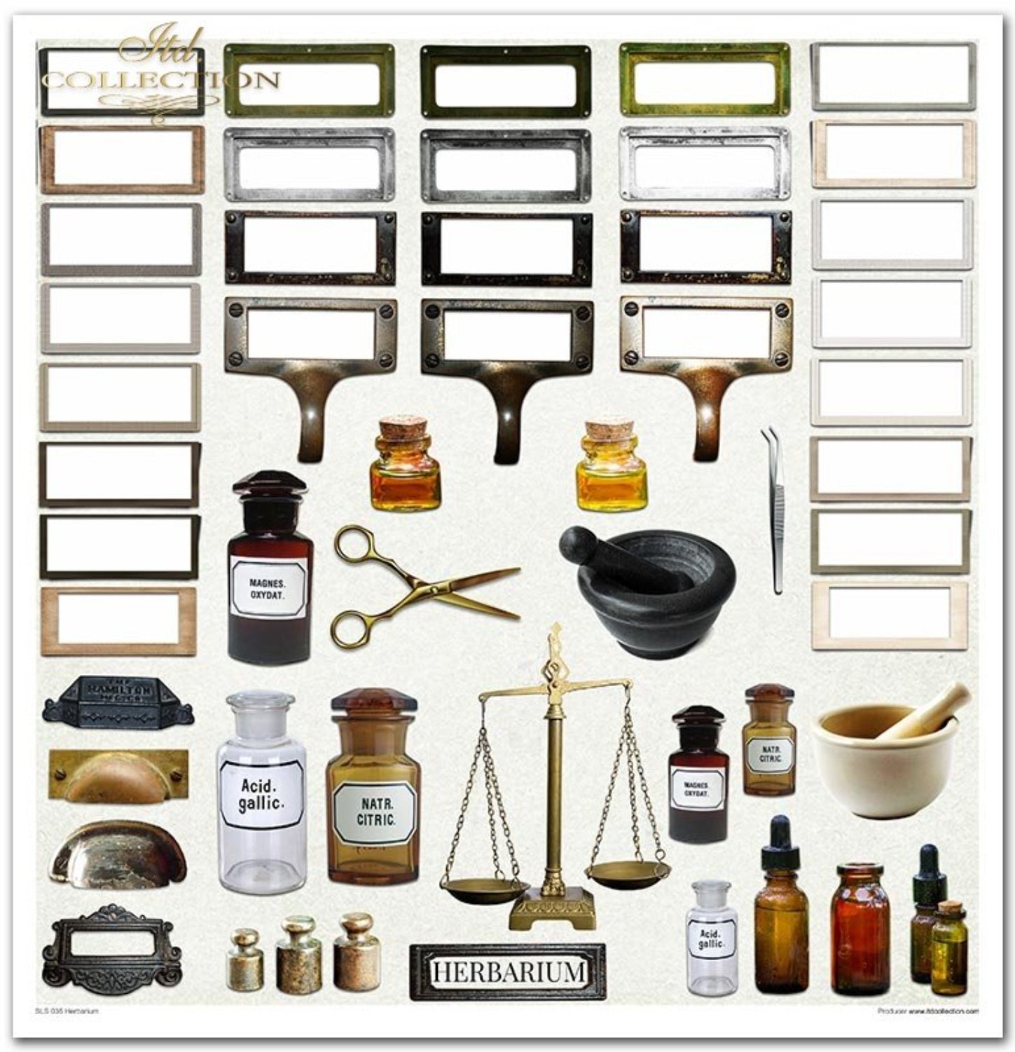Scrapbooking-Papier-Set Herbarium 320x310mm 200g 10 Blatt