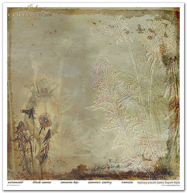 Scrapbooking Papier Set Herbarium 2 31x32cm 200g/m² 11 Bögen