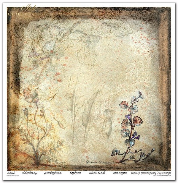 Scrapbooking Papier Set Herbarium 2 31x32cm 200g/m² 11 Bögen