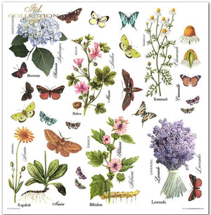 Scrapbooking-Papier-Set Herbarium 320x310mm 200g 10 Blatt