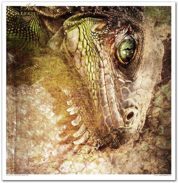 Papier-Set An undiscovered magical World 10 Blatt 320x310mm 200g