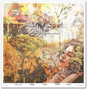 Scrapbooking-Papierset Herbalist 10 Bögen 31x32cm 200g/m²