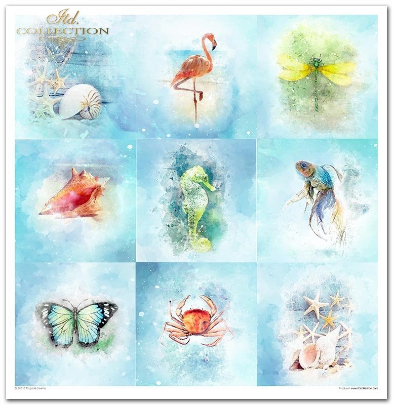 Scrapbooking-Papierset Tropical Dream 10 Bögen 31x32cm 200g/m²