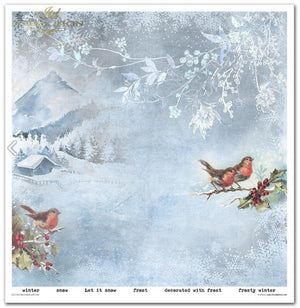 Scrapbooking-Papier Set Decorated with Frost 31x32cm 200 g/m2 11 Blatt