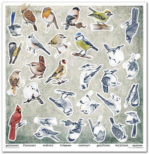 Scrapbooking-Papier Set Decorated with Frost 31x32cm 200 g/m2 11 Blatt