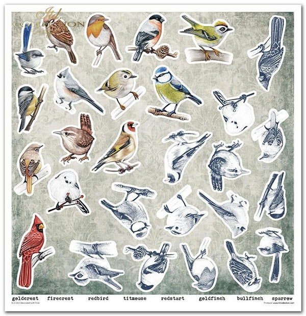Scrapbooking-Papier Set Decorated with Frost 31x32cm 200 g/m2 11 Blatt
