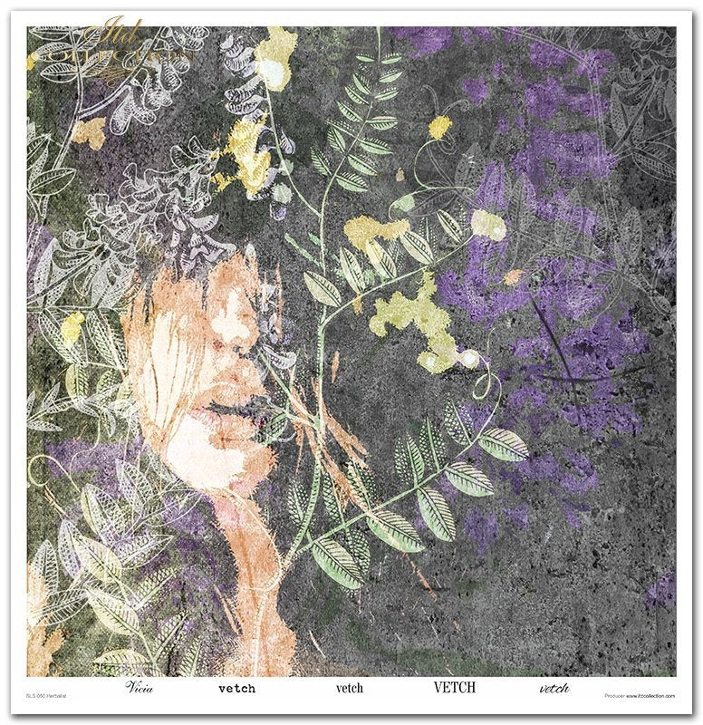 Scrapbooking-Papierset Herbalist 10 Bögen 31x32cm 200g/m²