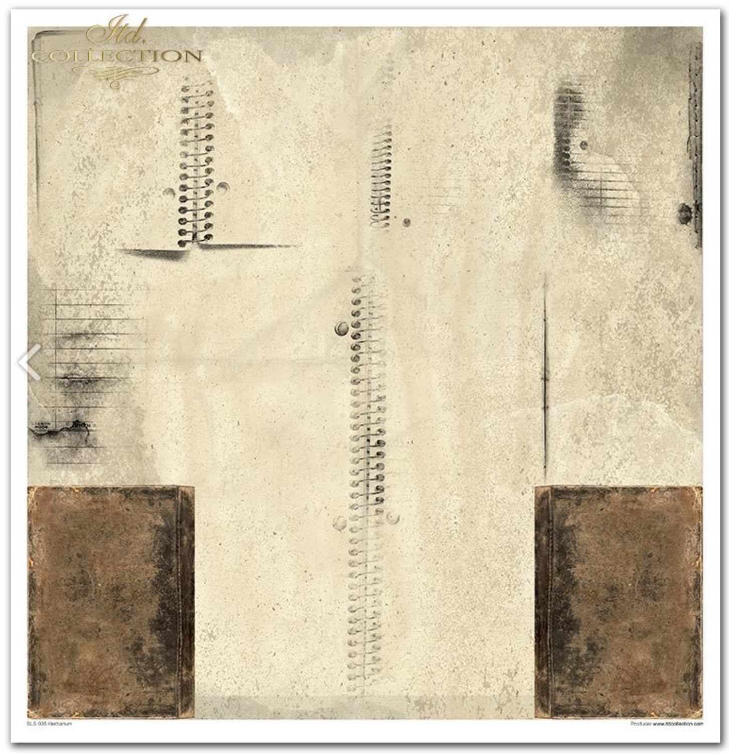 Scrapbooking-Papier-Set Herbarium 320x310mm 200g 10 Blatt