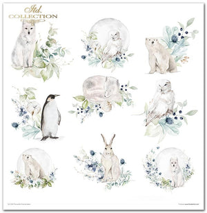 Scrapbooking-Papier-Set „Die Welt des Eises“, Porzellan, 10 Stück/Packung, 30 x 30 cm, 200 g