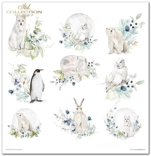 Scrapbooking-Papier-Set „Die Welt des Eises“, Porzellan, 10 Stück/Packung, 30 x 30 cm, 200 g