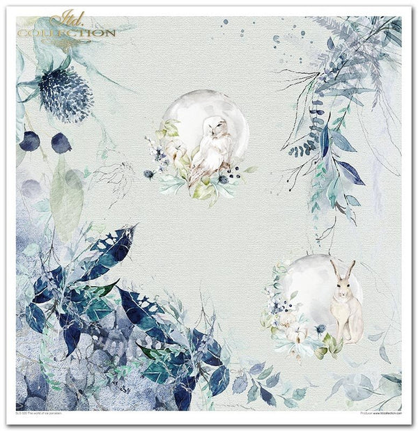 Scrapbooking-Papier-Set „Die Welt des Eises“, Porzellan, 10 Stück/Packung, 30 x 30 cm, 200 g