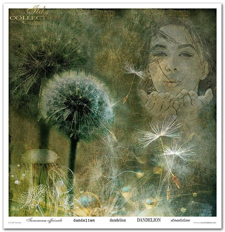 Scrapbooking-Papierset Herbalist 10 Bögen 31x32cm 200g/m²