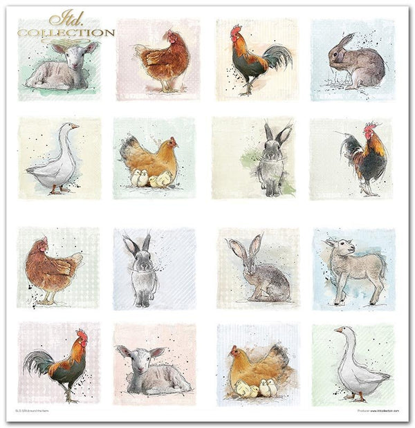 Scrapbookingpapier-Set Ostern Rund um den Bauernhof 310x320 mm 11 Blatt