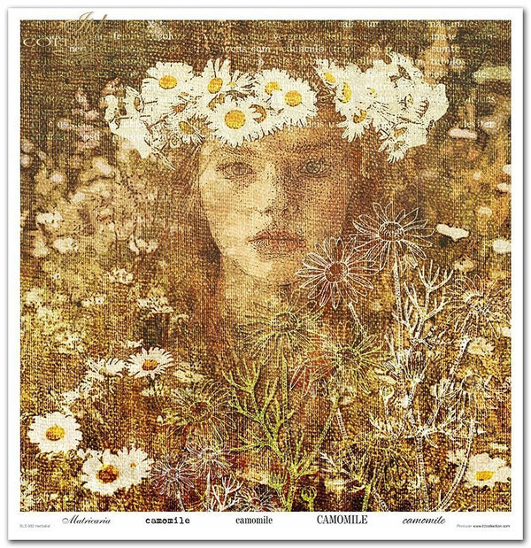 Scrapbooking Papier Set Herbalist 10 Bögen 31x32cm 200g/m²
