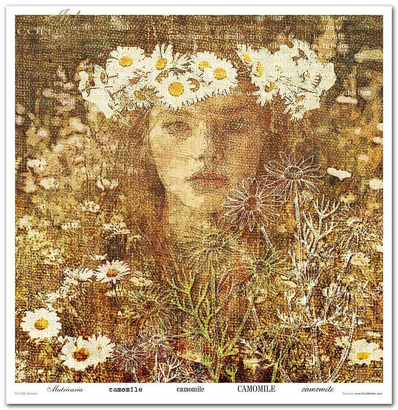 Scrapbooking-Papierset Herbalist 10 Bögen 31x32cm 200g/m²