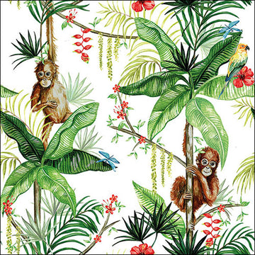 Ambiente Servietten Orangutan Dschungel  33x33cm 20 Stück